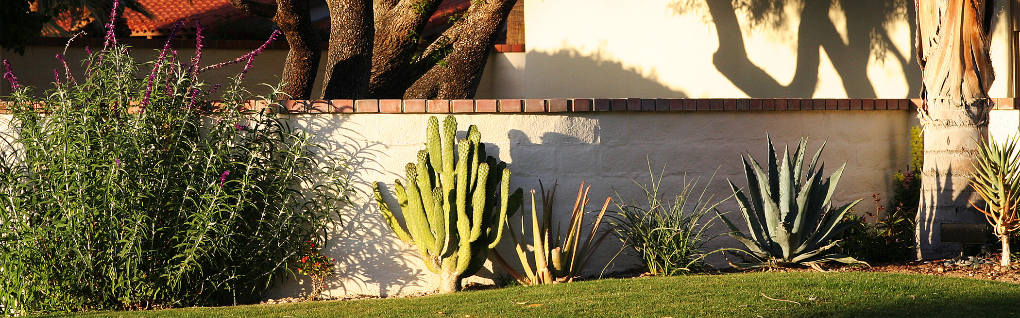 banner2