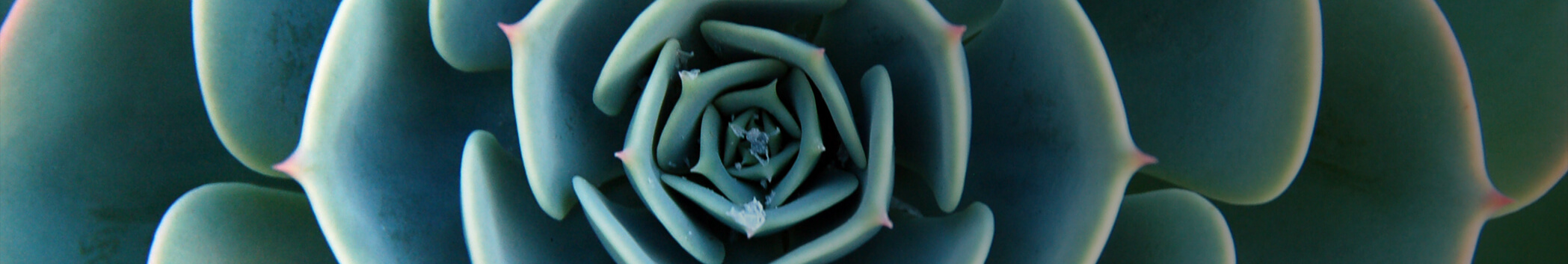 header-three
