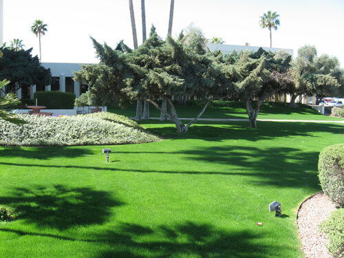 tucson-lawn-care-work (1)