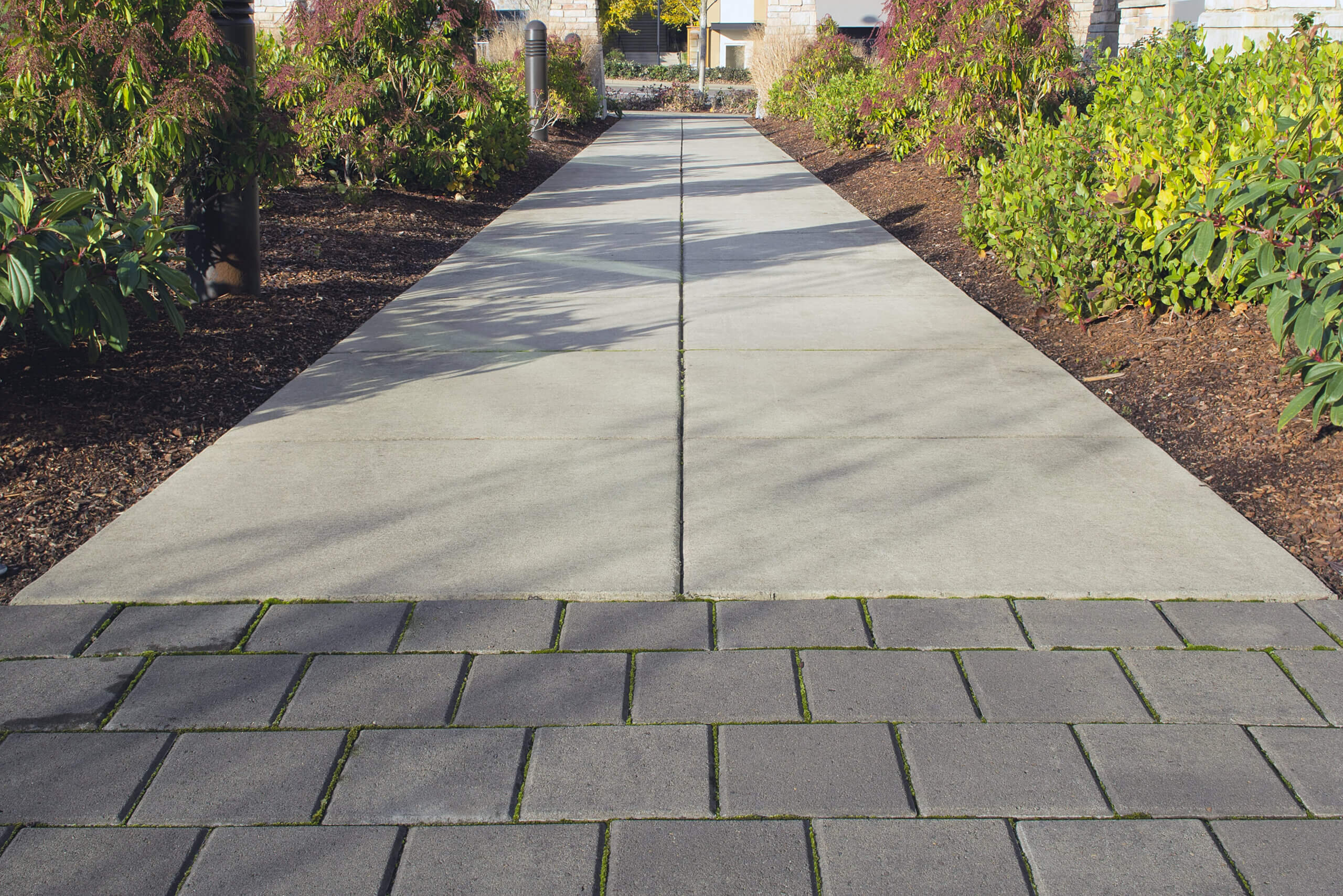 Commercial Outdoor Space Sidewalk Landscaping with Walk Path and Plants