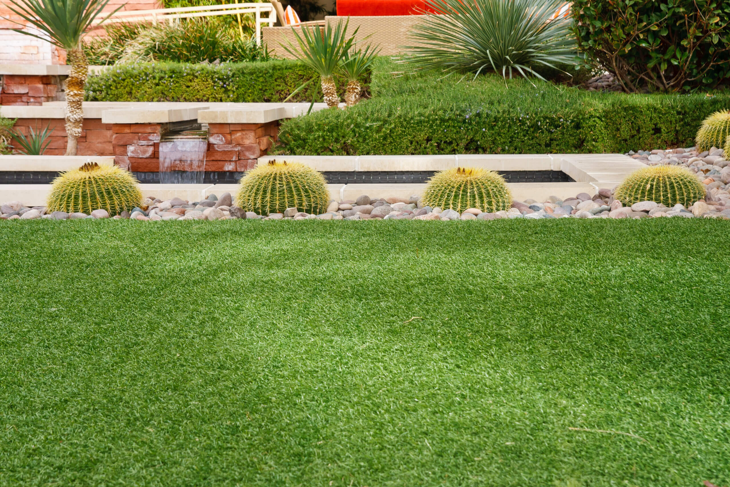 Barrel cactuses in a rock garden beyond a green grass lawn
