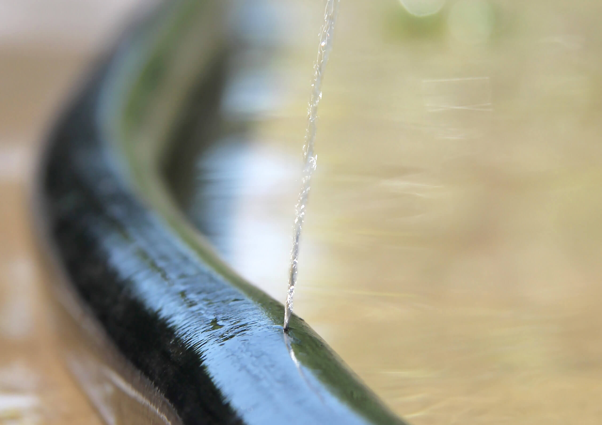 Torn hose is leaking water, be economical