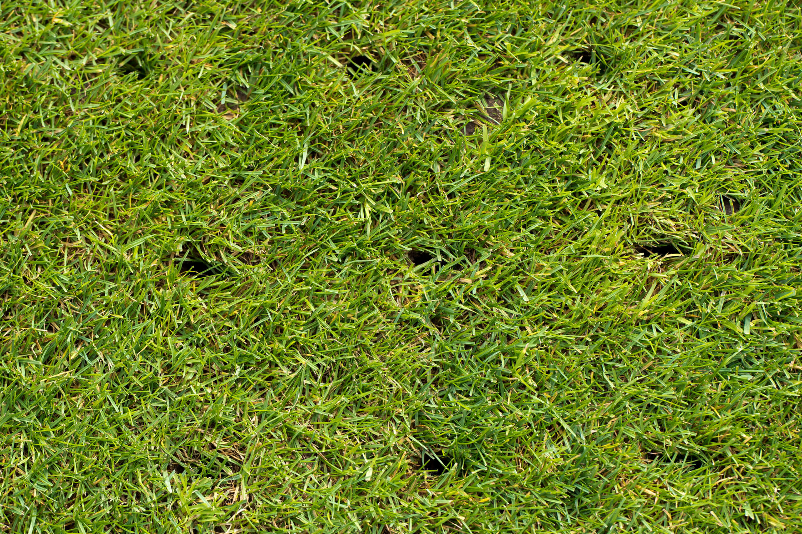 lawn with holes on a football field after aerating