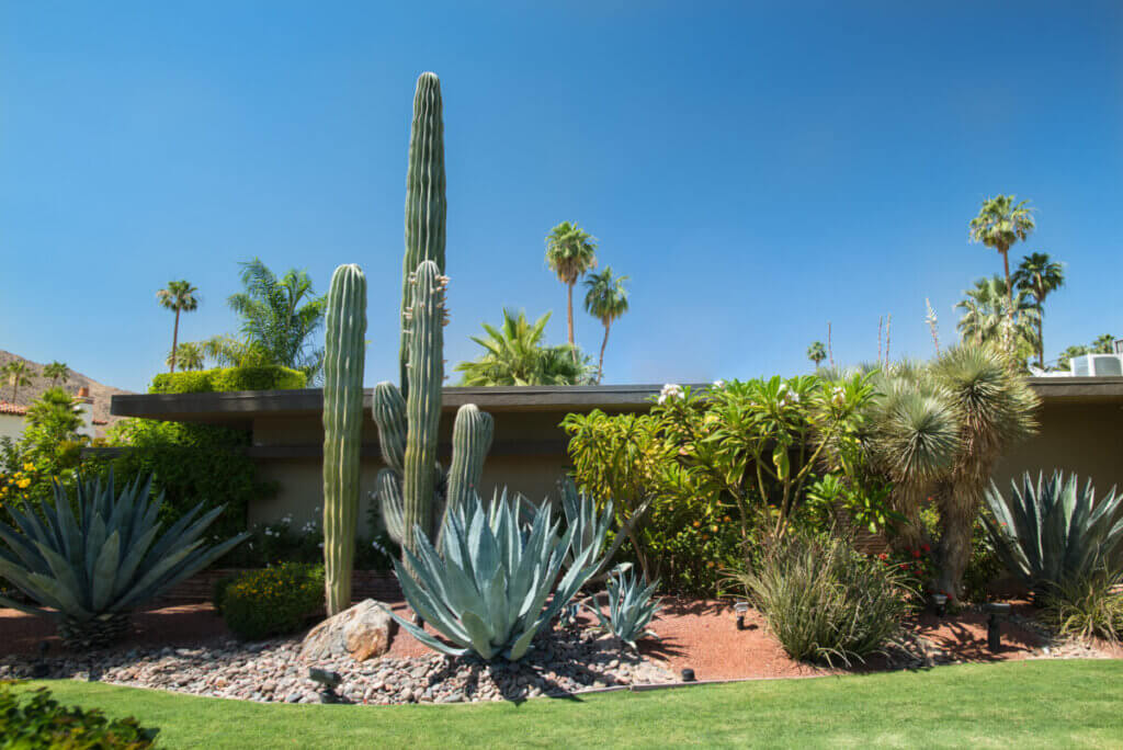 Plant Installation - Complete Landscaping