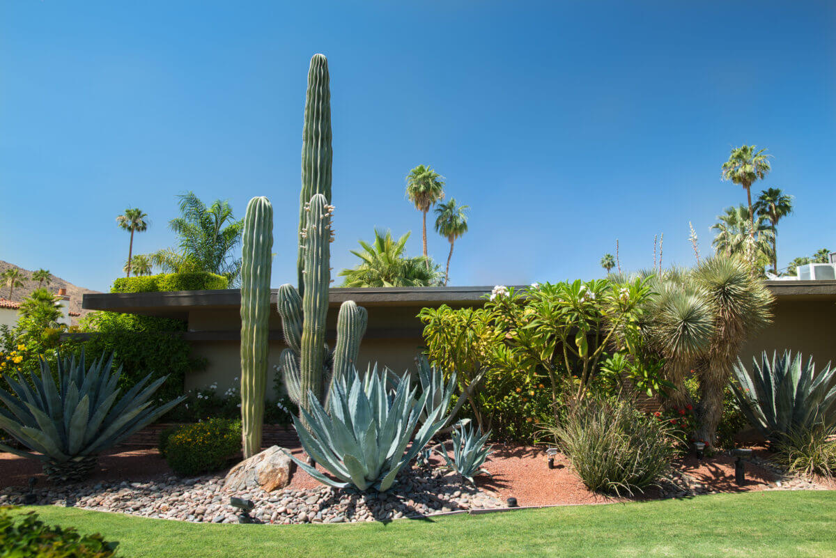 Plant Installation - Complete Landscaping