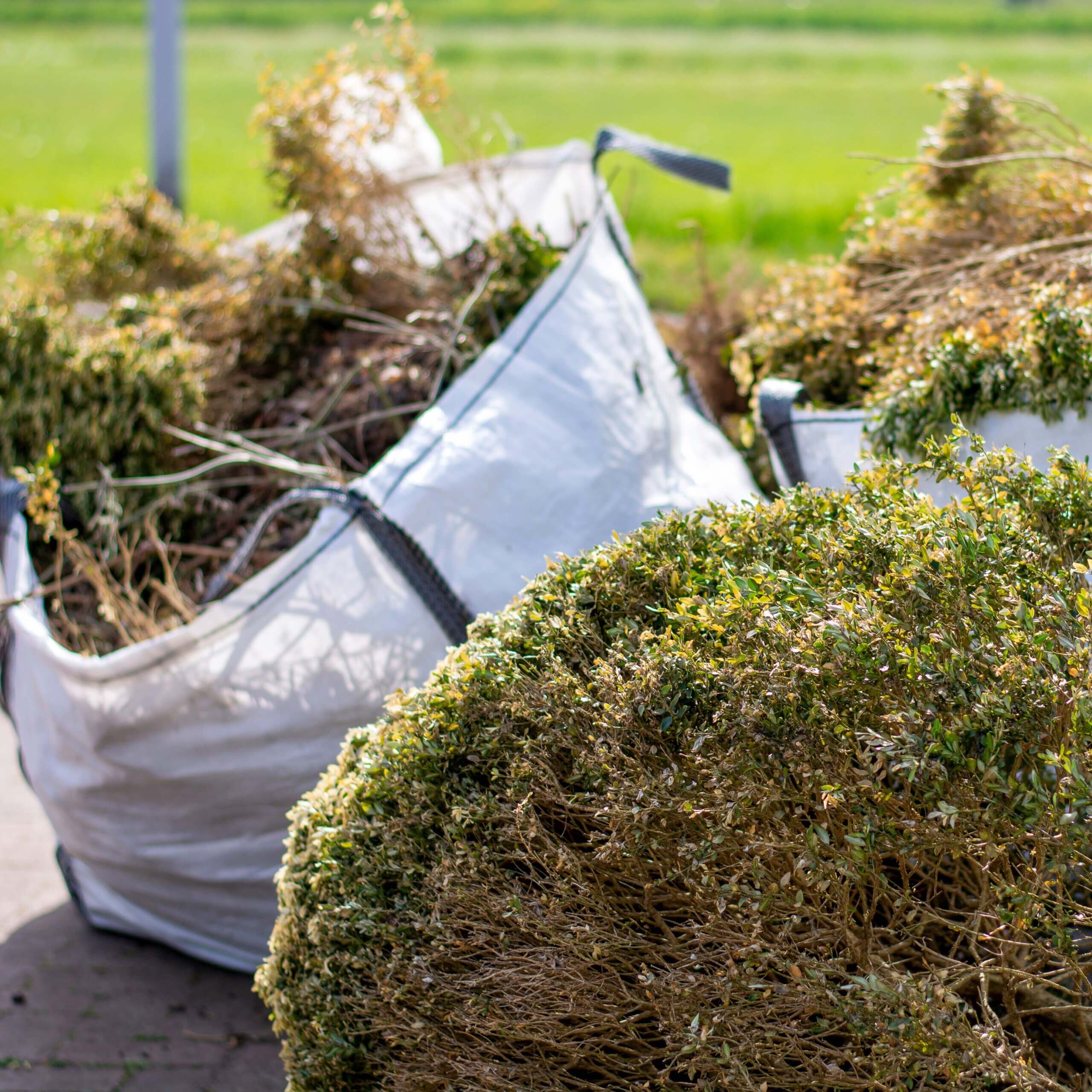 Large white rental bags with organic green garden waste. Local councils collecting green waste to process it into green energy and compost.