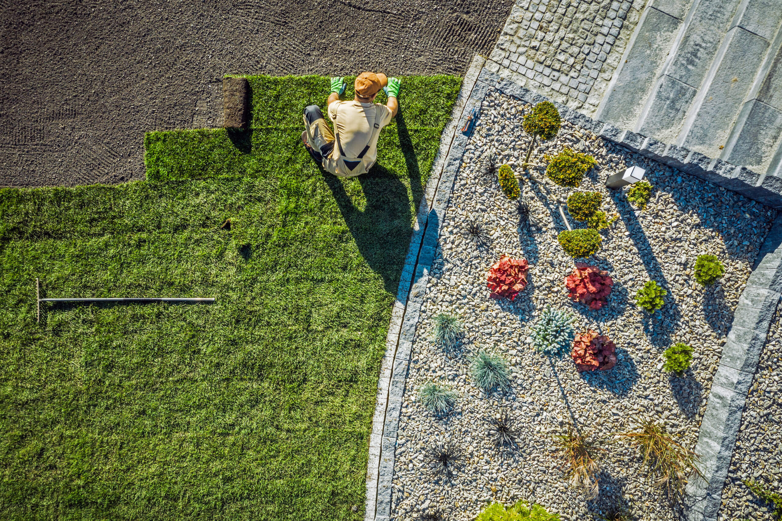 Aerial View Of Male Gardener Laying Rolls Of Sod In Large Area Of Residential Backyard.