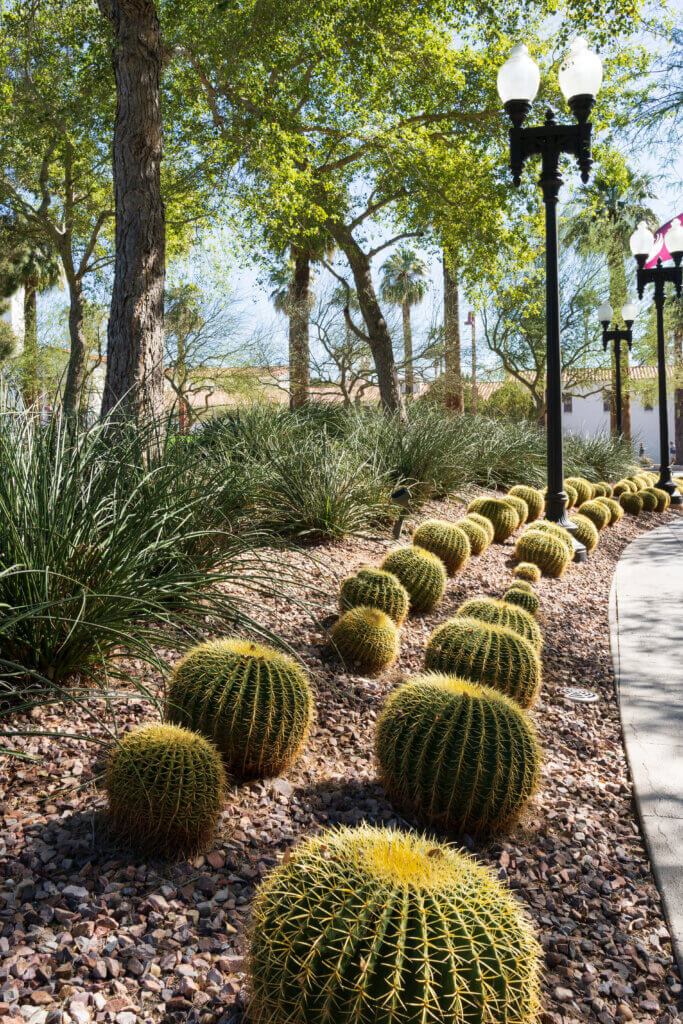 Commercial Landscaping Walkway - Complete Landscaping
