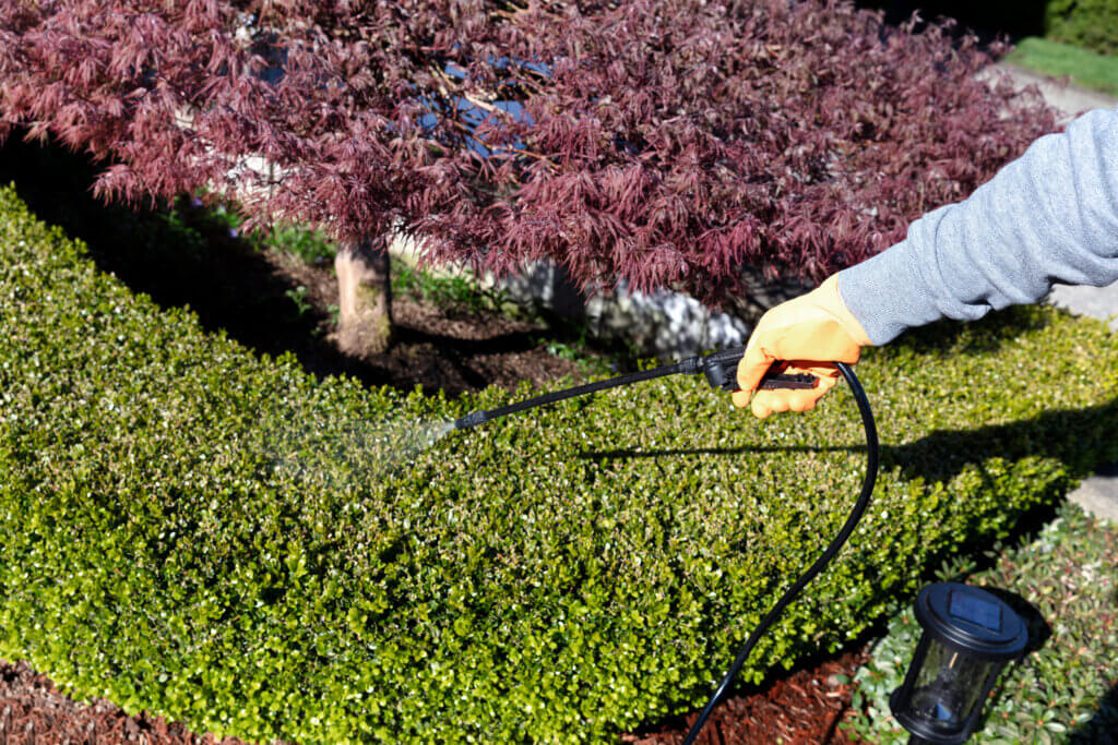 Pest Control Solutions - Complete Landscaping