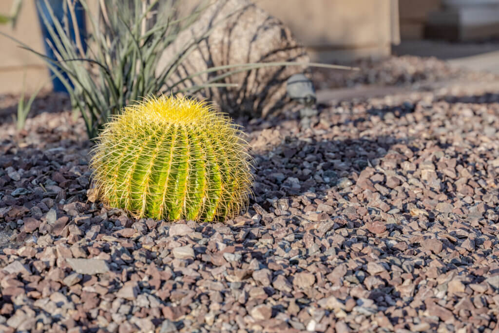 Rock Irrigation - Complete Landscaping