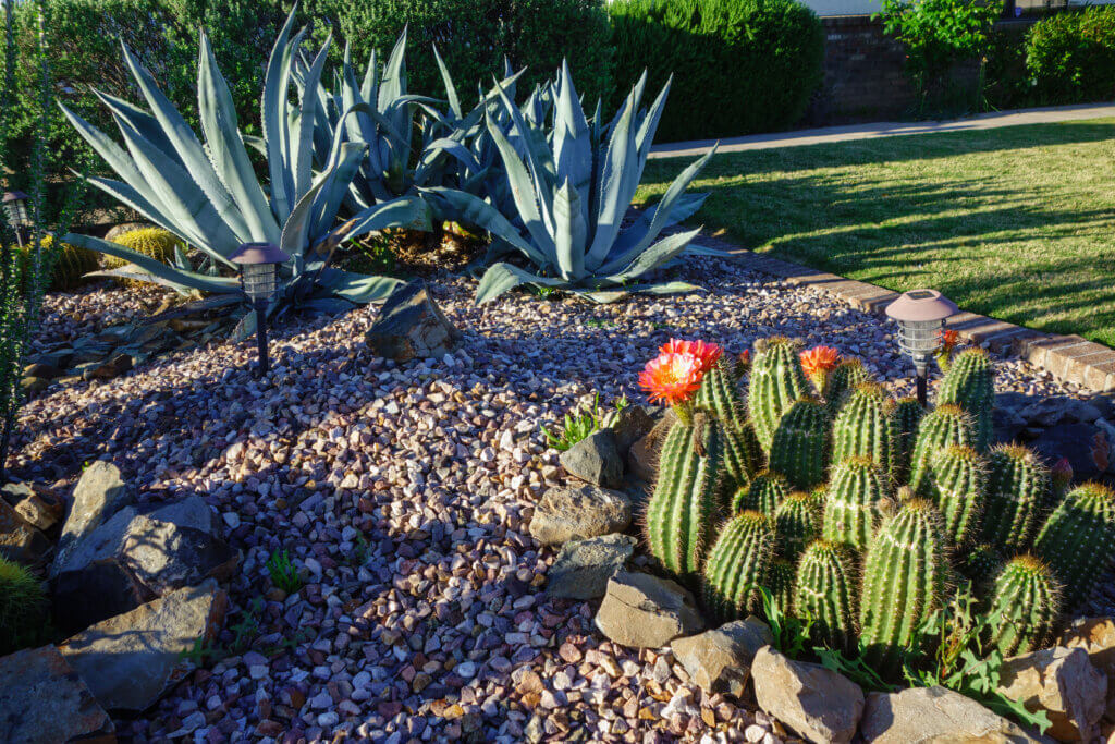 Rock Garden - Complete Landscaping