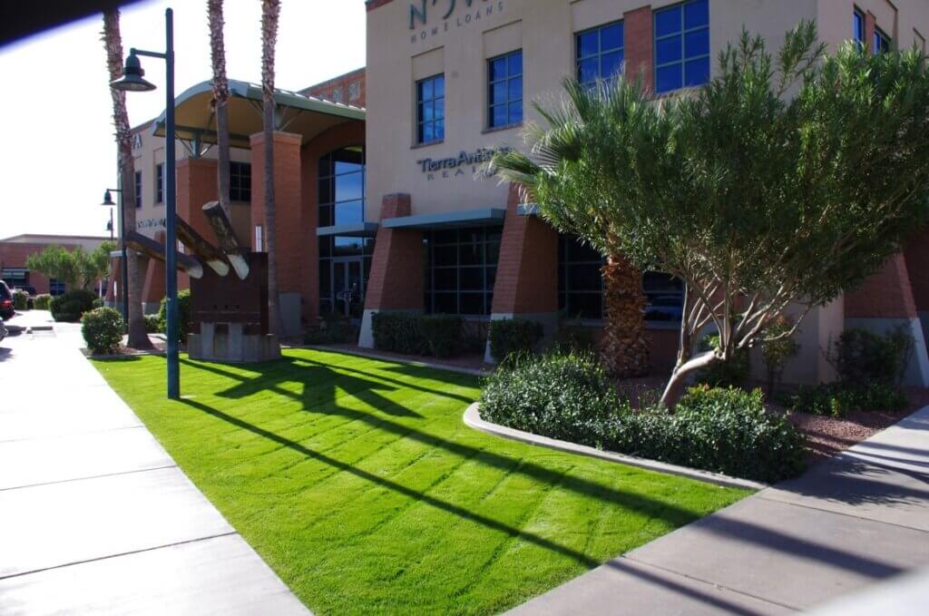 Tucson landscapers maintaining vibrant green lawns, mature trees, and manicured planting beds around a commercial property.