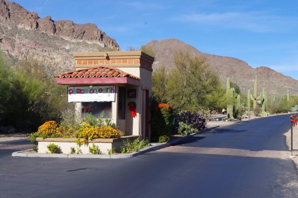 Professional landscaping services maintaining colorful flower beds, mature desert trees, and manicured grounds at a Tucson community entrance.