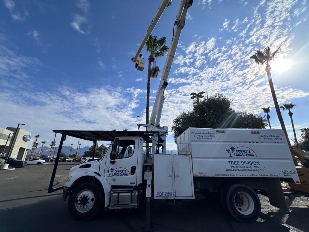 tree service