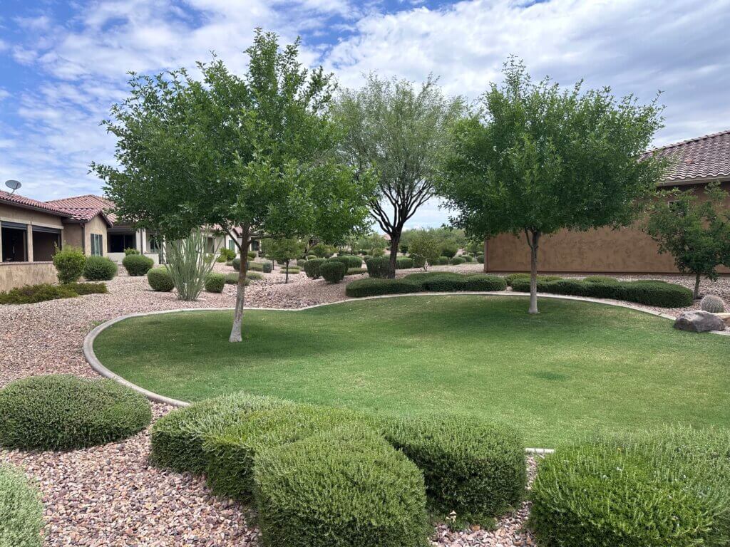 Professional landscape maintenance featuring a manicured green lawn, mature trees, trimmed shrubs, and clean decorative rock beds.