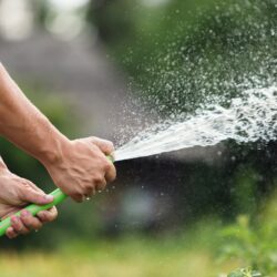 How Your Landscaper Can Help You Cut Your Water Usage