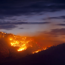 Wildfires: How Your Landscape May Help or Hurt