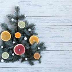 Helping Your Citrus Trees Thrive During the Winter