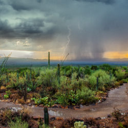 Erosion Control Methods to Consider for the Upcoming Monsoon Season