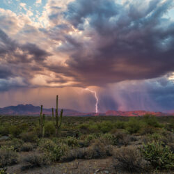 Preparing Your Home for Monsoon Season