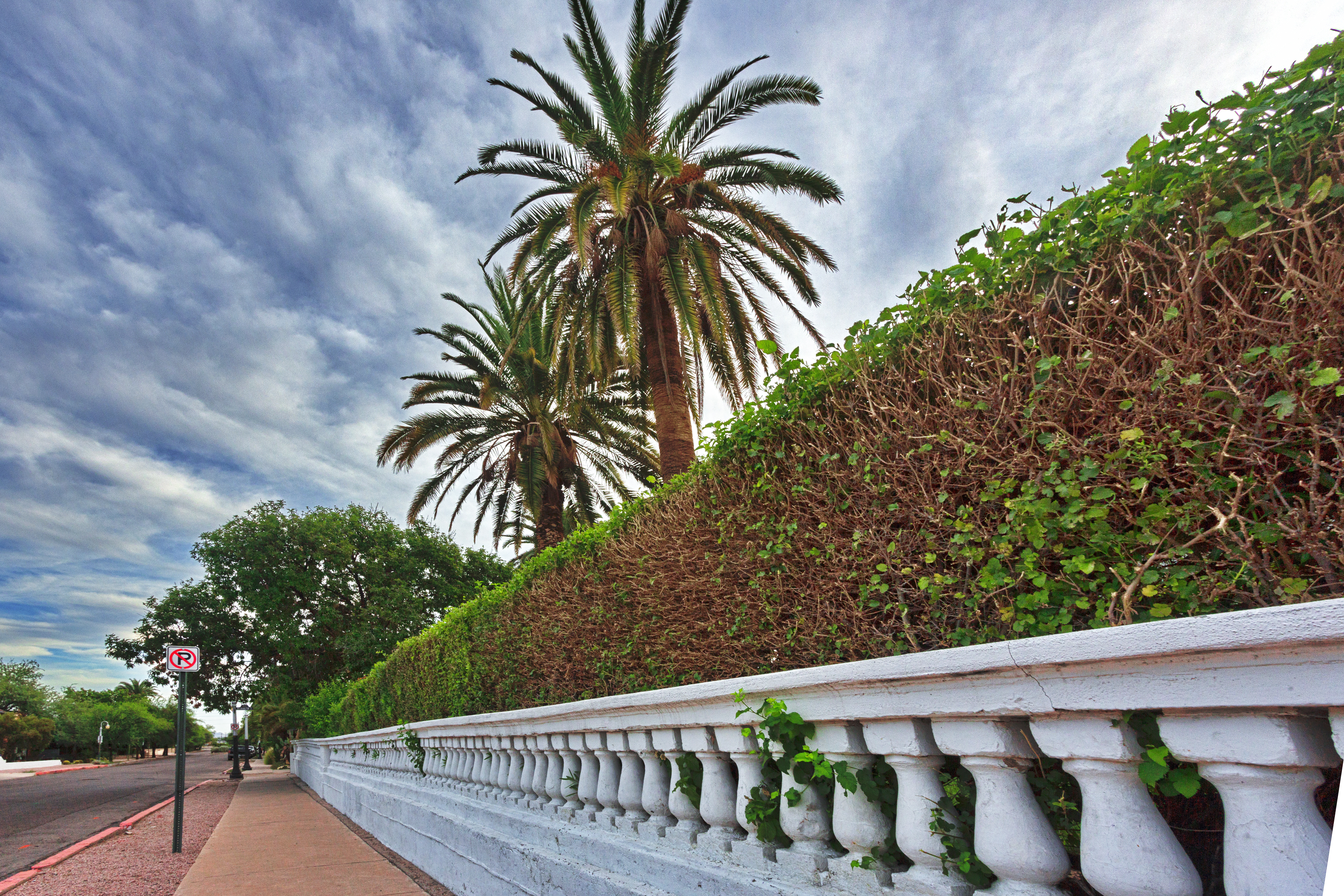 Established decorative white wall and mature hedge in downtown Tucson, a Southwest city with a lovely mix of historical and contemporary architecture.