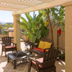 Tips for Adding Shade Trees to a Small Yard