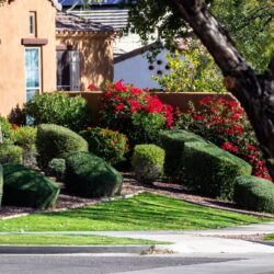 Things to Consider When Designing Your Landscaping