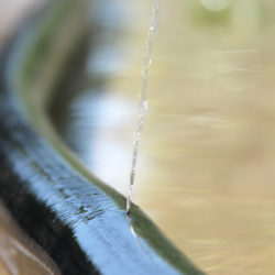 How to Spot a Leak in Your Irrigation System