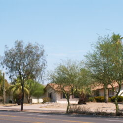 What You Need to Know About Landscaping for Shade