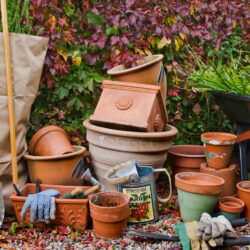 Planning for Your Fall Garden