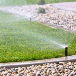 Types of Irrigation Systems for Residential Landscapes