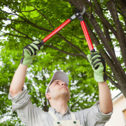 How Landscape Maintenance Can Protect Your Business from Liabilities