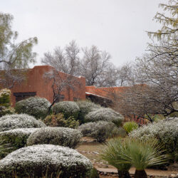 Avoid Freeze Damage & Save Water with these Winter Irrigation Hacks