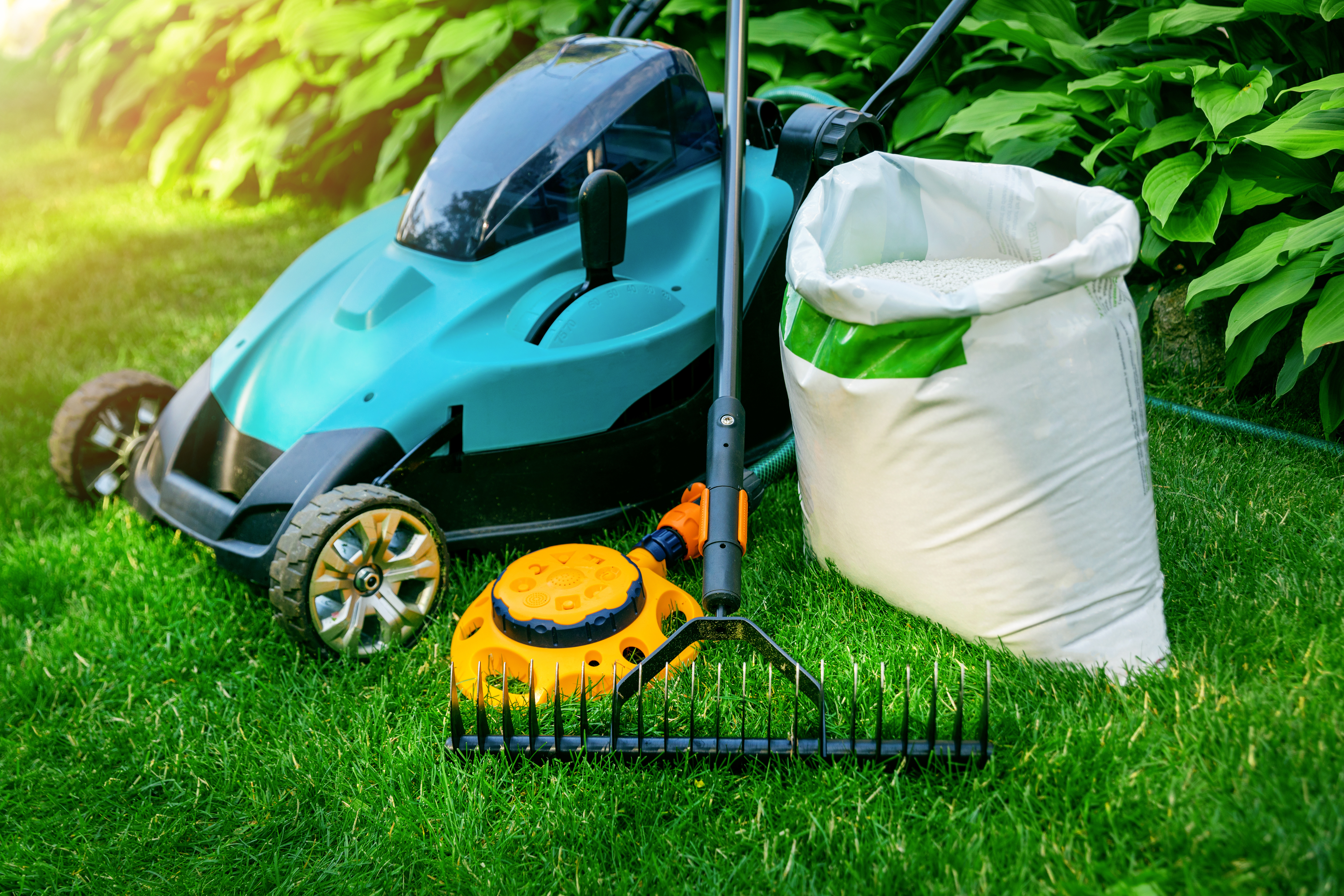 Tips for Maintaining an Eco-Friendly Lawn