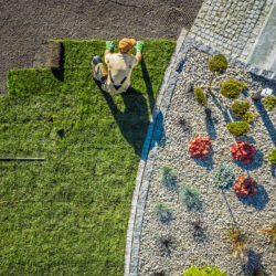 What Can a Landscape Contractor Do for You?