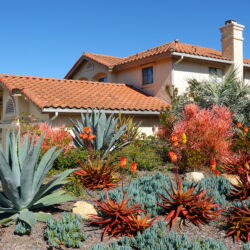 How Can You Increase Your Property Value Through Landscaping?