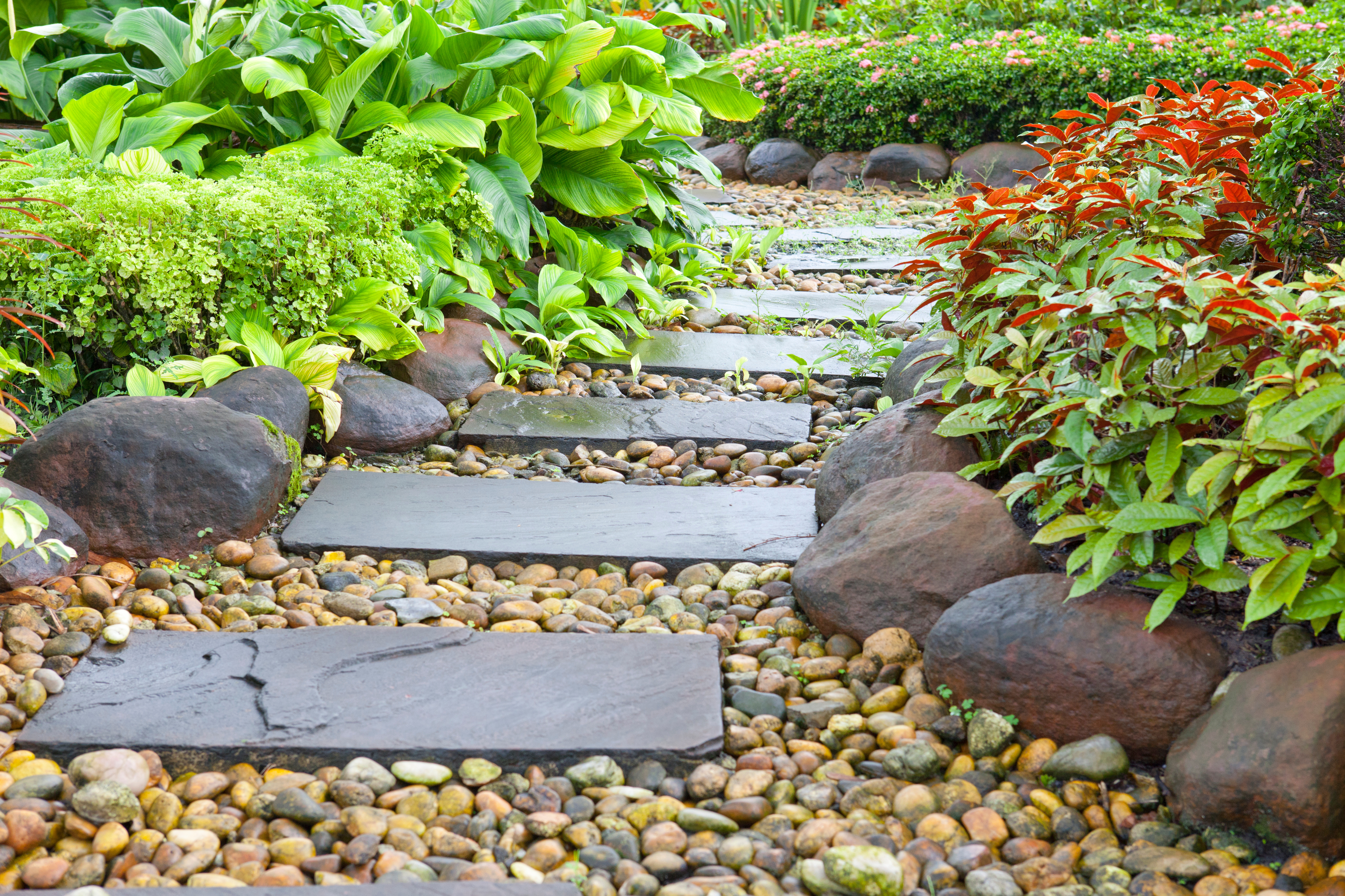 Stone walkway in the rock garden