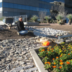 Why Commercial Landscaping Is Worth the Investment