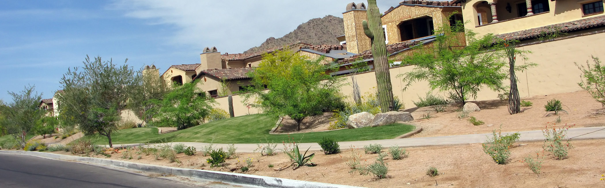 Landscape Contractors Complete, Landscaping Companies Tucson