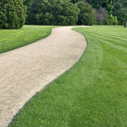 Should You Have a Lawn in Your Tucson Home?