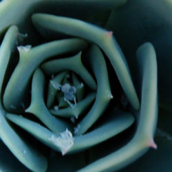 Spotlight on Complete Landscaping’s Affiliations