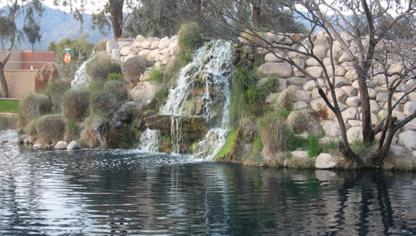 landscapping-services-tucson
