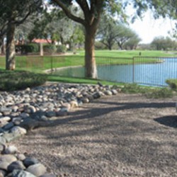 Complete Landscaping Solves Tree Problems in Tucson