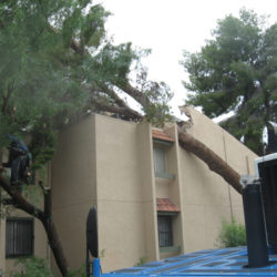 Keep Your Home and Yard Safe This Monsoon Season