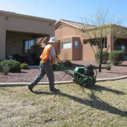 Questions to Ask Before Hiring a Landscaper